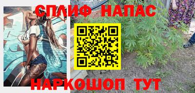 сатива Лесосибирск