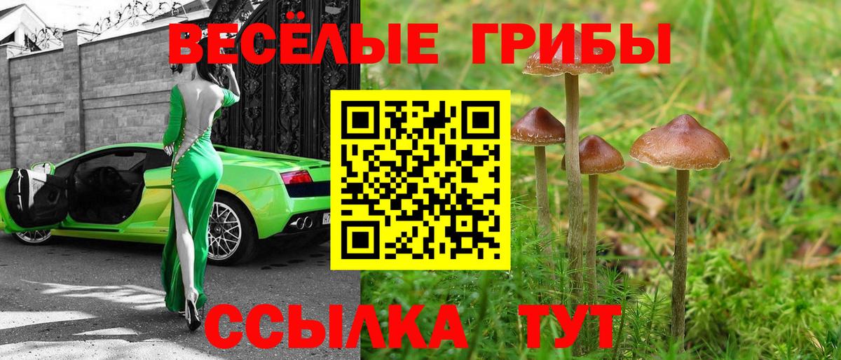 Псилоцибиновые грибы мицелий  Вход с VPN  Ефремов  Псилоцибиновые грибы Psilocybe 