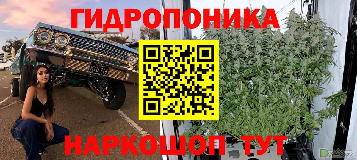 Бошки марихуана THC 21%  Канабис индика  Вход с VPN  Ефремов  Бошки Шишки White Widow 